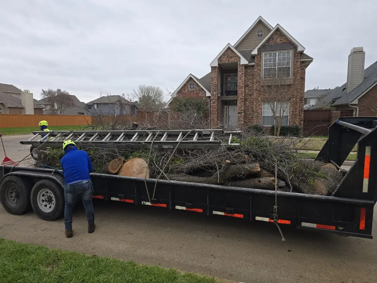 Expert Tree Pest Control with proper safety equipment in Ragsdale